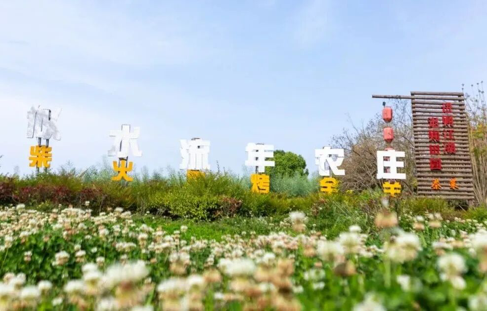 山水青白江，乡野诗意浓——探寻龙泉山下的文旅秘境(确认)-图片5.png