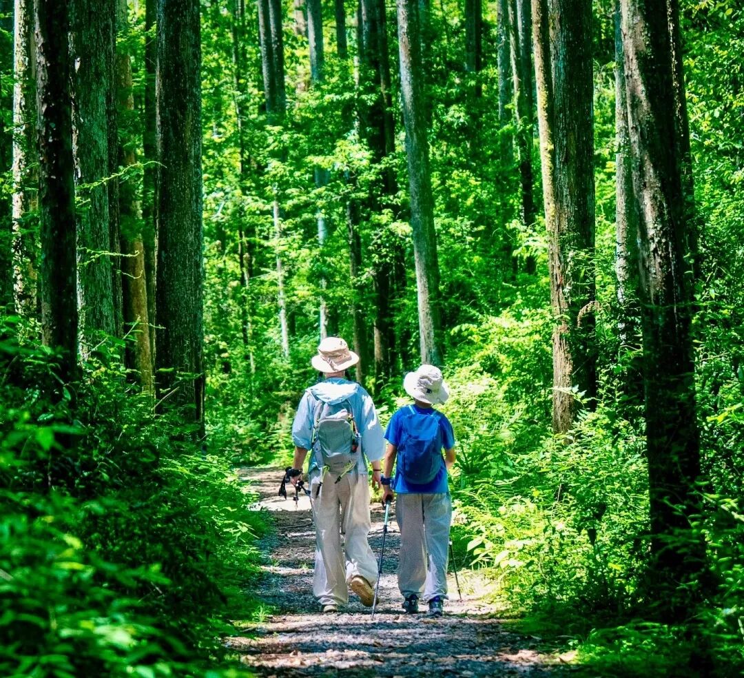 山水藏诗意，邂逅成都近郊乡村文旅的温柔秘境