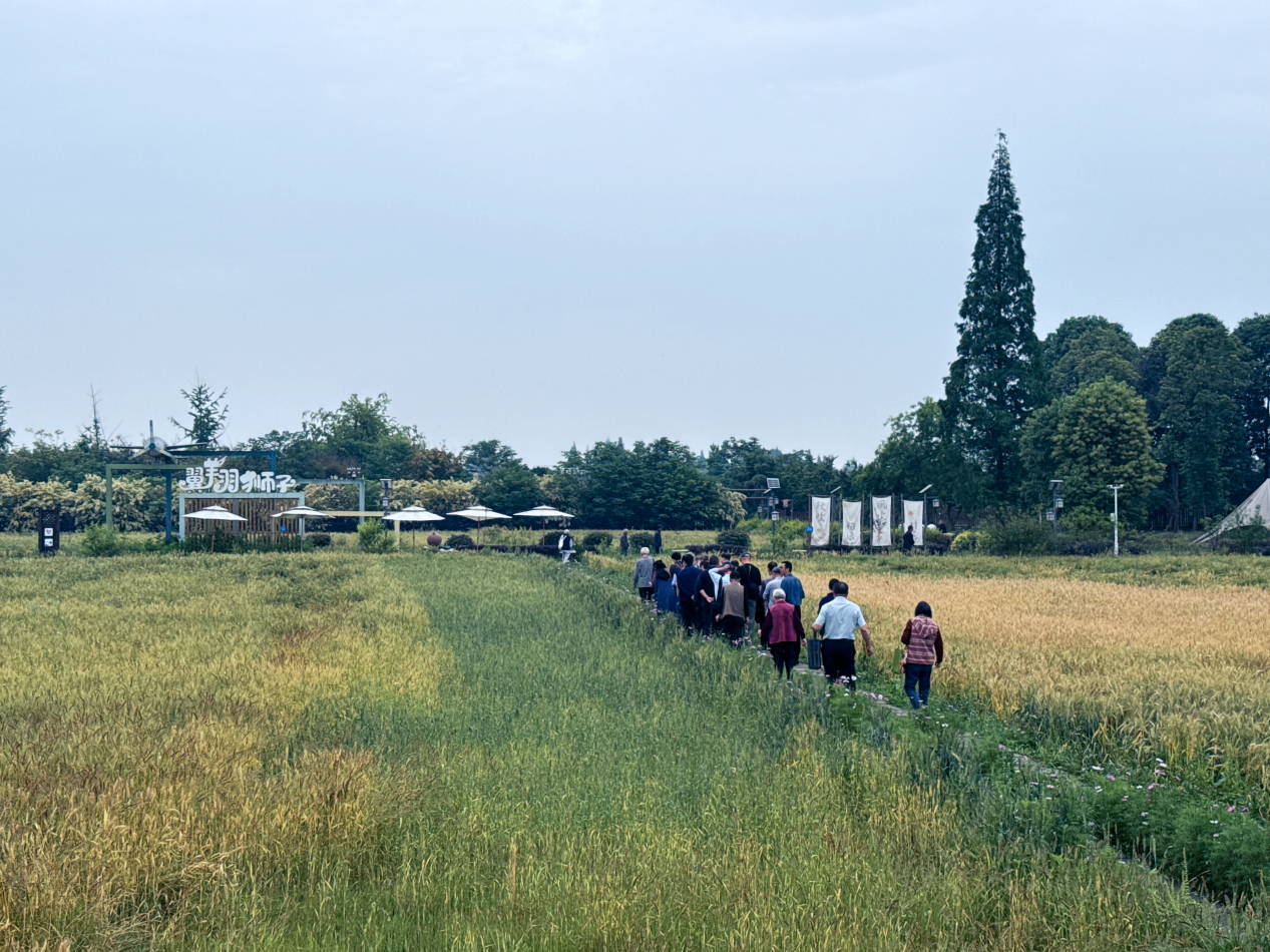 山水藏诗意，邂逅成都近郊乡村文旅的温柔秘境-图片7.png