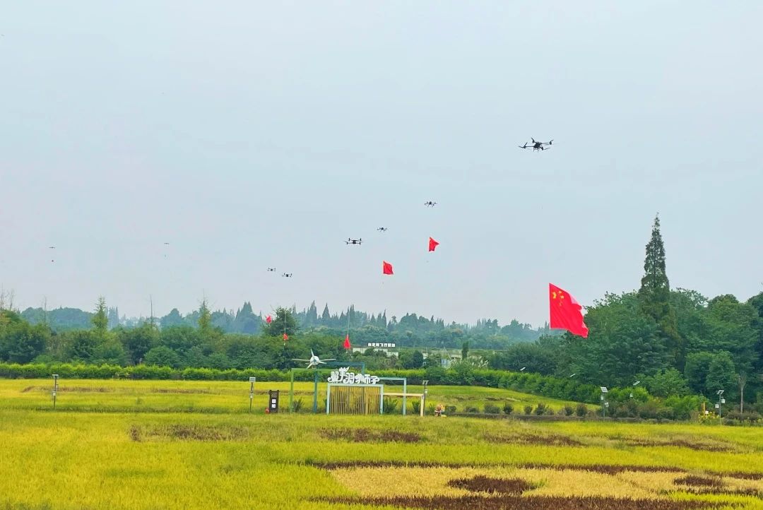 藏在青白江的近郊秘境！山水田园藏尽成都夏日诗意(2)-图片8.jpg