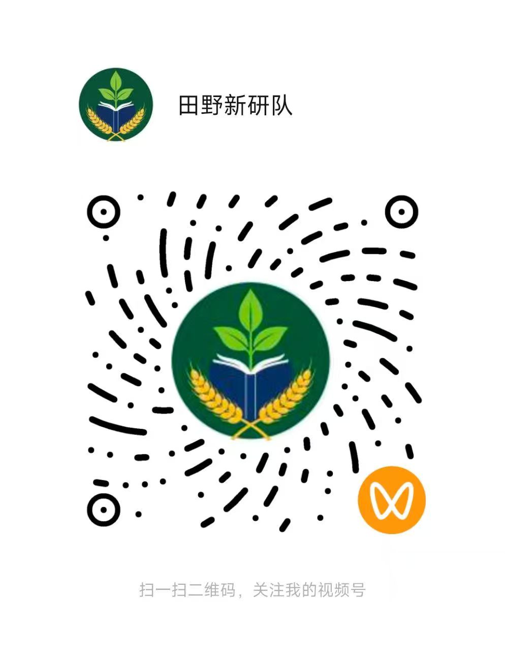 三下乡投稿-田野新研队从化黄场村黄皮产业走访纪实-通讯员许诗艺(1)-图片13.jpg