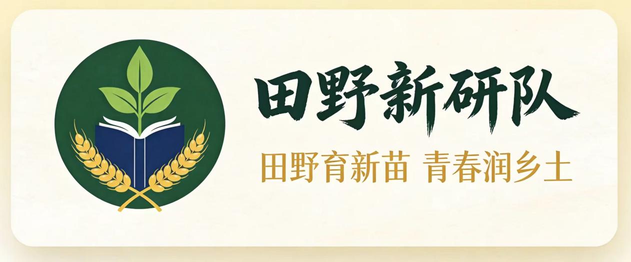 三下乡投稿-田野新研队从化黄场村黄皮产业走访纪实-通讯员许诗艺(1)-图片14.jpg