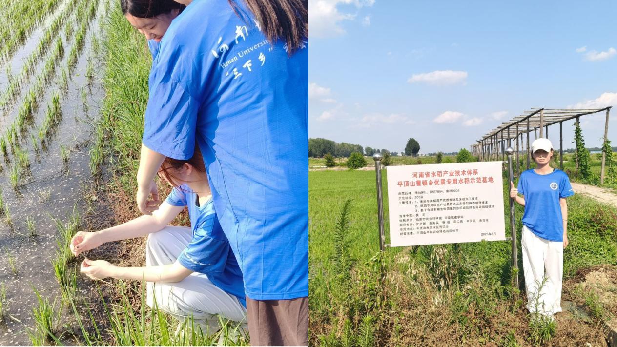 河南城建学院生科院学子赴曹镇助农实践-图片2.jpg