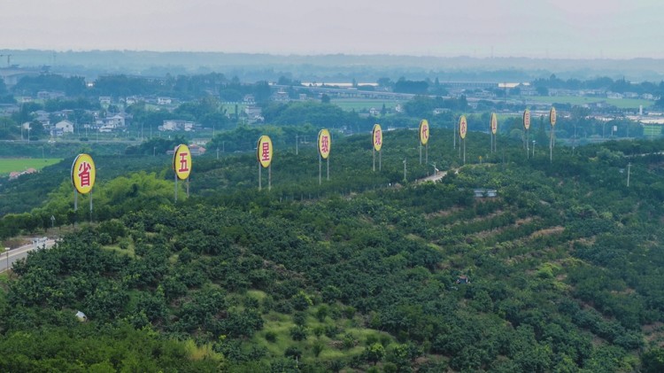 三下乡7.14-图片5.jpg