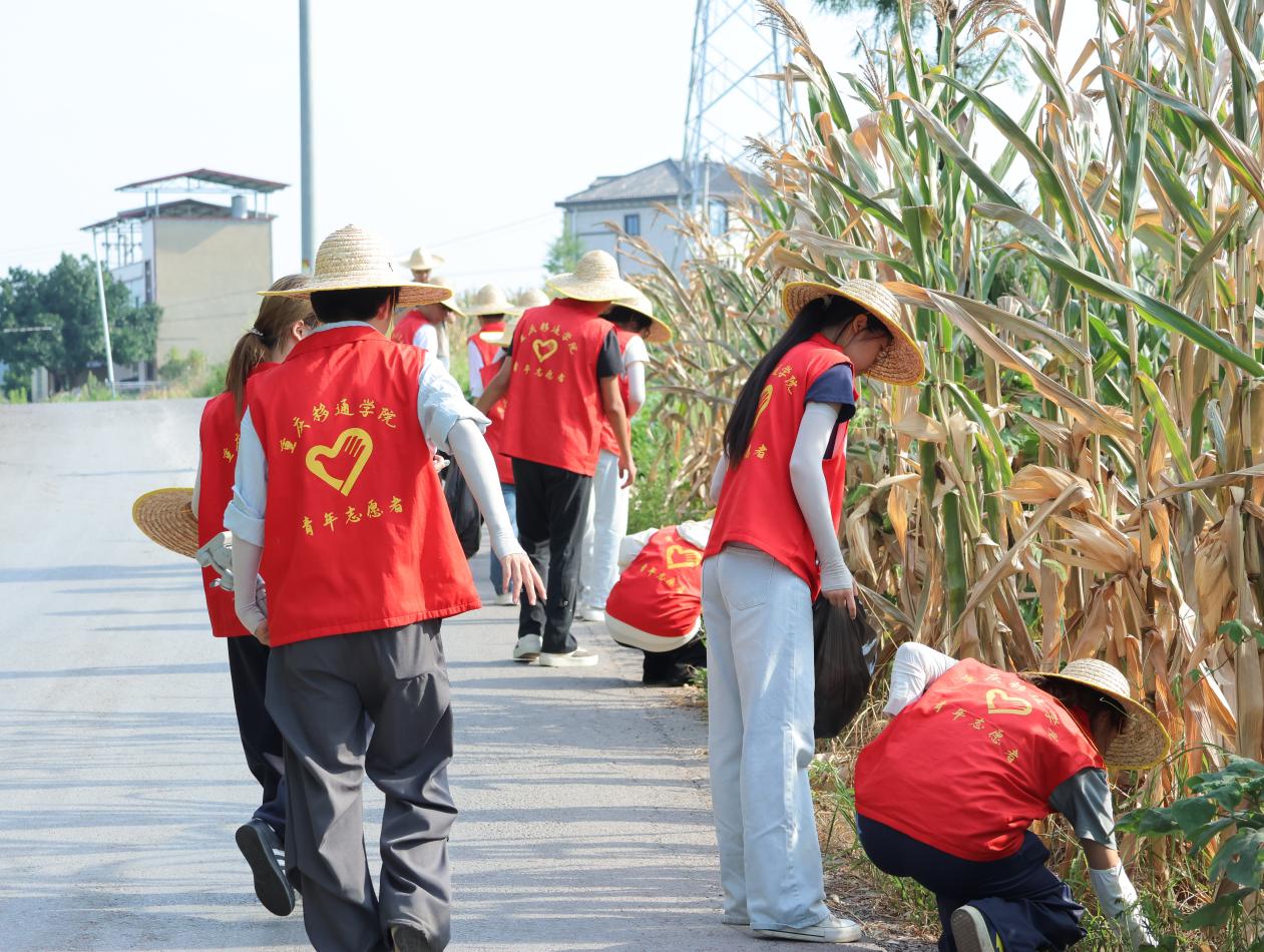 【先锋】深耕乡土担使命，多维实干助振兴——重庆移通学院学子赴拾万镇开展“三下乡”社会实践-图片5.jpg