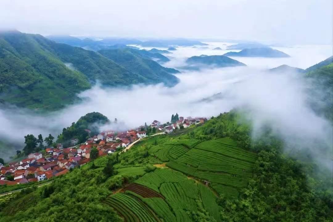 浙江经贸职业技术学院实践团走进上坞山村开展暑期社会实践  本报讯 2026年7月，浙江经贸职业技术学院“踏野问茶·紫韵非遗”实践团赴绍兴嵊州市上坞山村，开展为期数-图片1.jpg