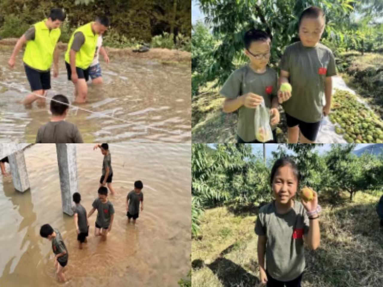 循迹武平星火：福工商学子以法学力量助推文-图片5