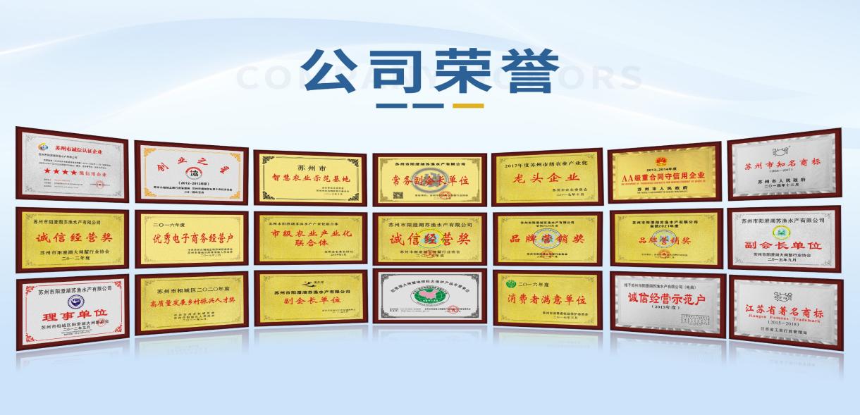 泽来鲜品大闸蟹-图片1